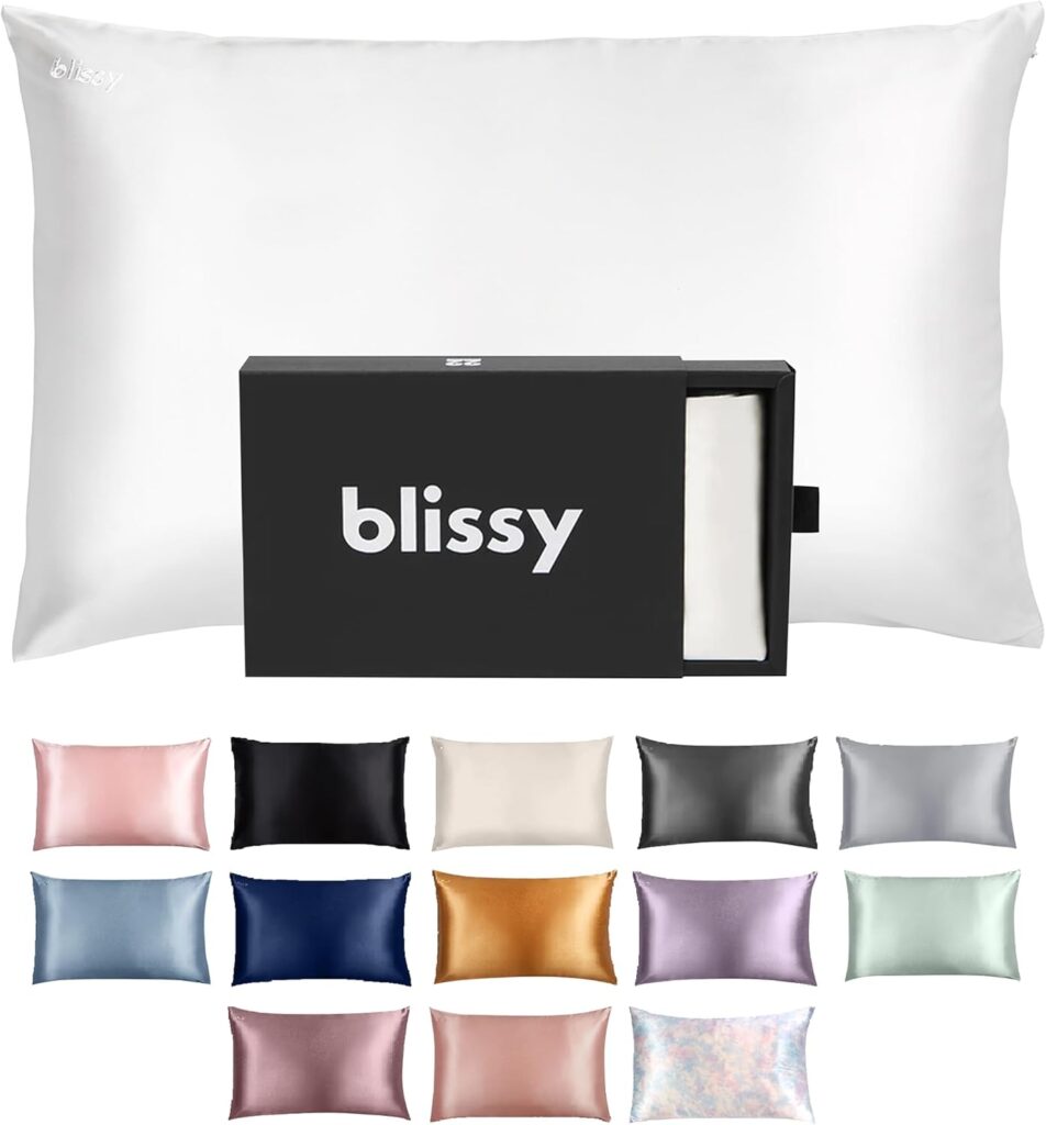 Blissy Silk Pillowcase - 100% Pure Mulberry Silk - 22 Momme 6A High-Grade Fibers - Silk Pillow Cover for Hair  Skin - Regular, Queen  King with Hidden Zipper (Standard,Blissy White)