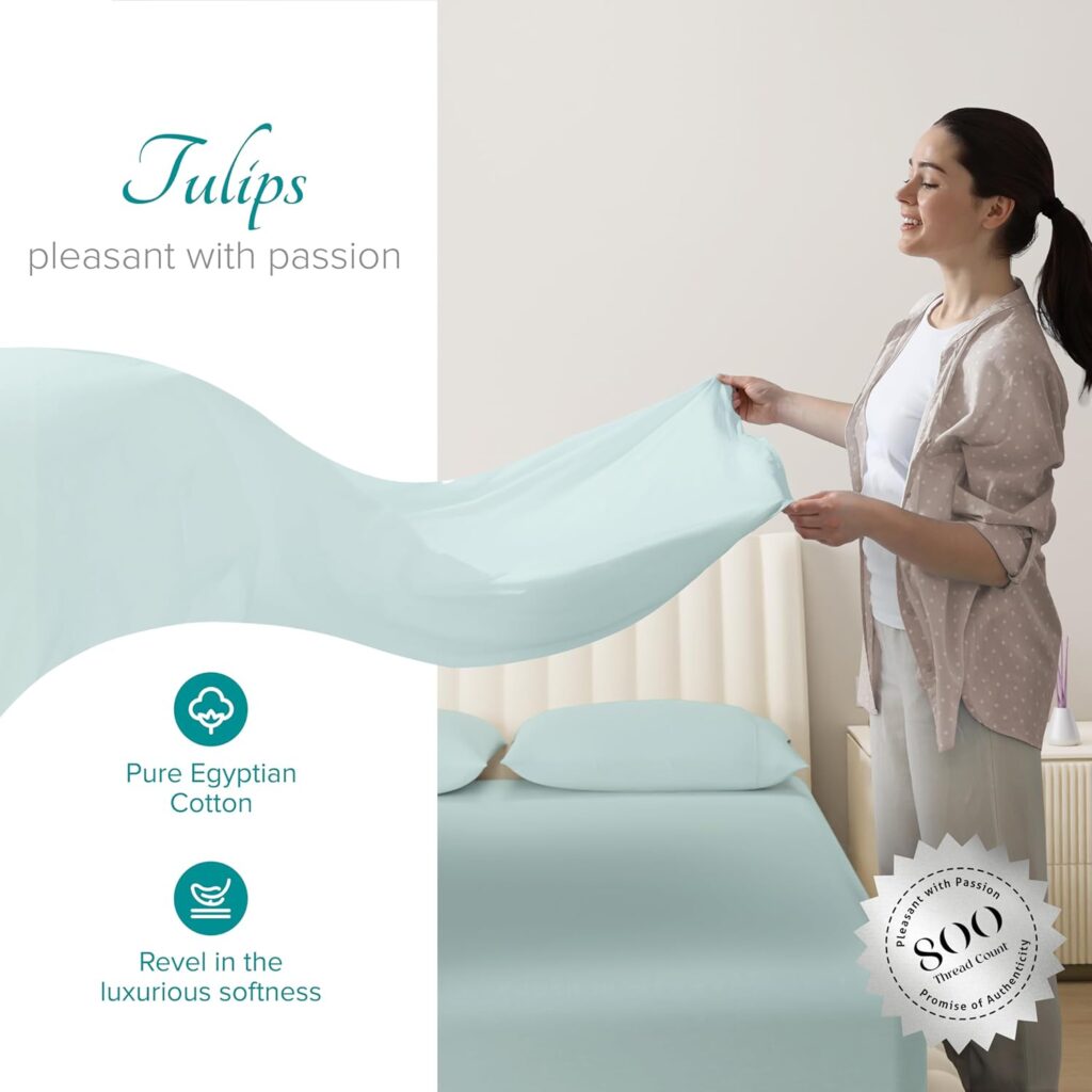 Carressa Linen 100% Egyptian Cotton Sheets Full Size Bed Set - 4 PC 800 High Thread Count Egyptian Cotton Full Sheet Set Sea Foam Soft, Cooling, 16 Deep Pocket Sateen Weave Luxury Hotel Bedsheet