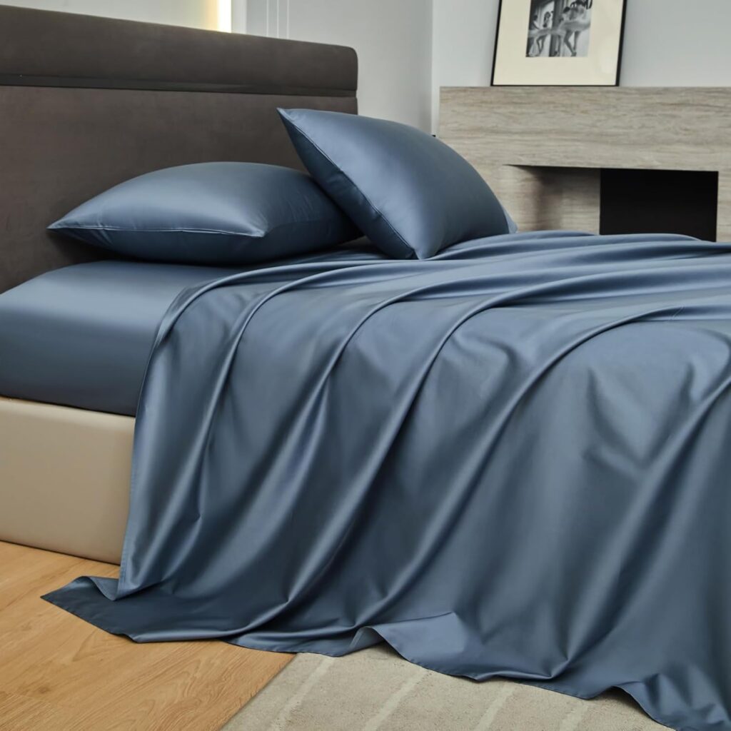PURE ERA Sheet Set 800 Thread Count Long Staple Cotton Sateen Silky Soft Smooth Hotel Luxury 4 Piece Bed Sheets Set Queen Size, Deep Pocket up to 16 (Flint Blue, Queen)